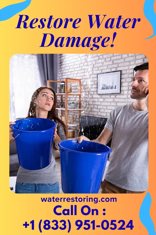 water restoration Best Mitigation Specialists Wakarusa