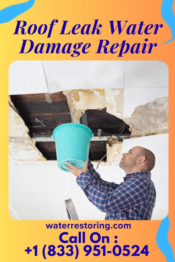 Roof Leak Water Damage Repair in Wakarusa, IN